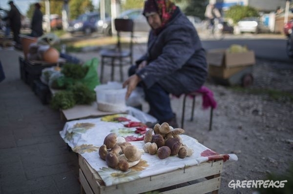 Resident Sells Local Produce in Russian Market © Denis Sinyakov / Greenpeace