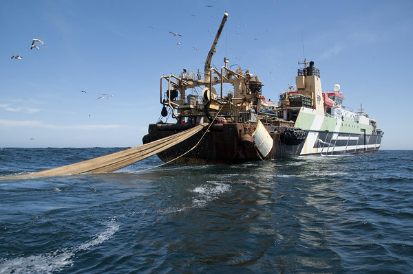 Pesca sostenible. Monsterboats