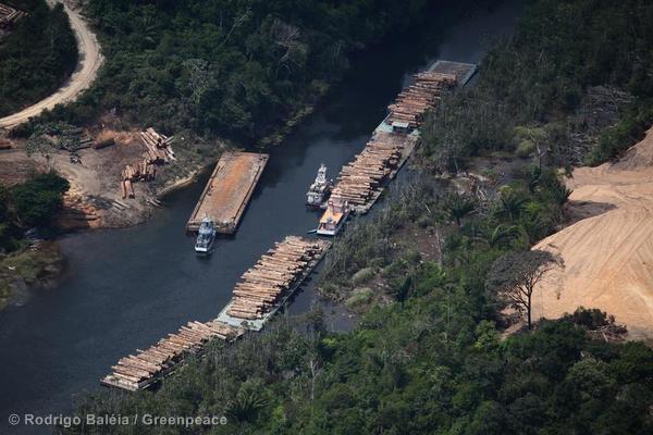 Why is deforestation a bad thing?