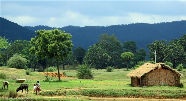 Landscape of Kedia village