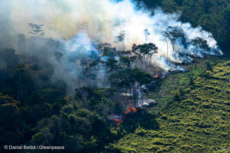 ブラジルのアマゾンでの森林火災
