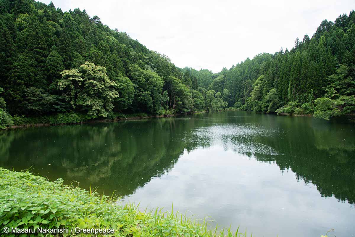 自然栽培お米農家の本音トークをお届けします