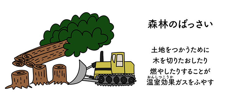 温暖化をすすめる人間の活動 森林のばっさい