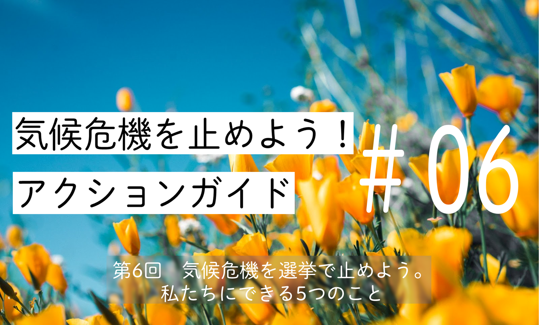 気候アクションガイドブログ6_image_2
