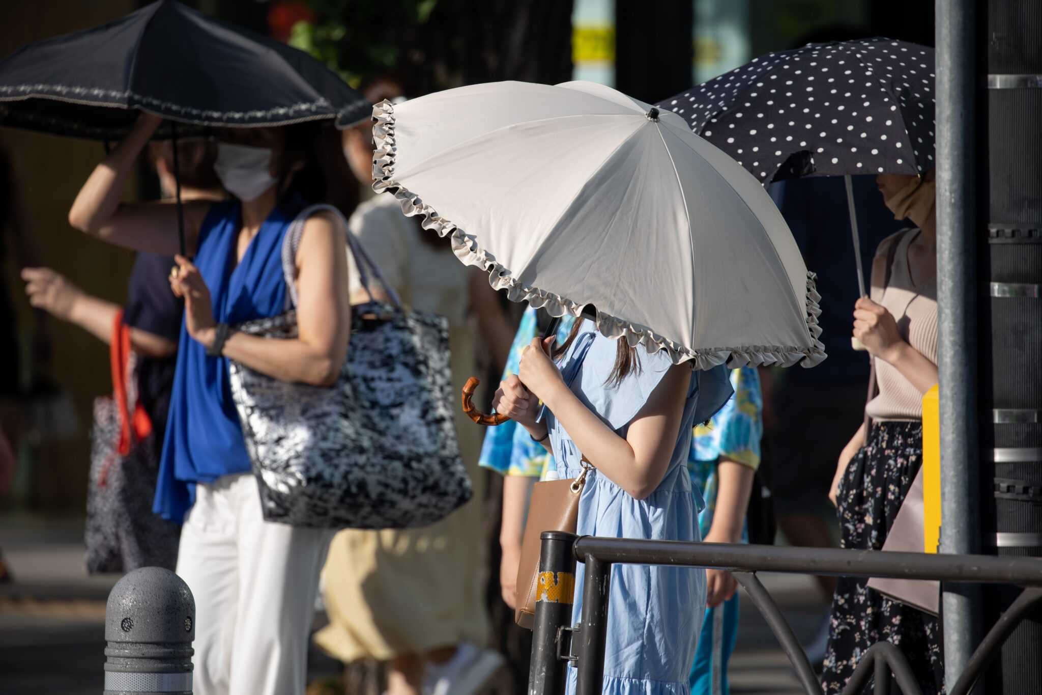 『異常』が異常ではなくなる夏ーー新聞報道にみる「猛暑」の変遷と日常化する異常気象 – 国際環境NGOグリーンピース