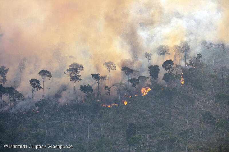グリーンピース・ブラジルによる飛行調査で撮影されたアマゾンの森林の火災。ブラジル、ロンドニア。2025年8月29日