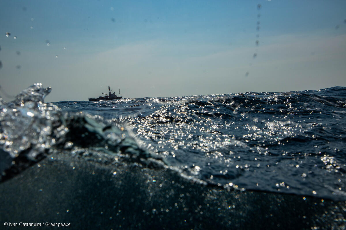 メキシコ海でサンゴ礁の調査を行うグリーンピースのアークティック・サンライズ号