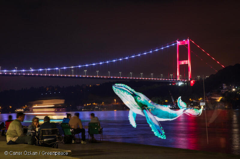 国連公海等生物多様性（BBNJ協定が発効