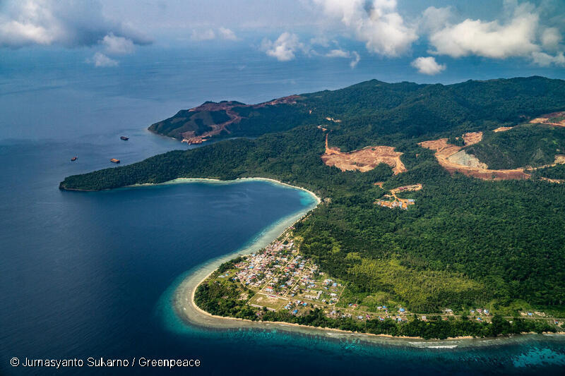 ニッケル採掘で被害を受けるラジャ・アンパット諸島