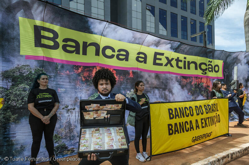 ブラジル・アマゾン破壊を招く農業融資をストップ