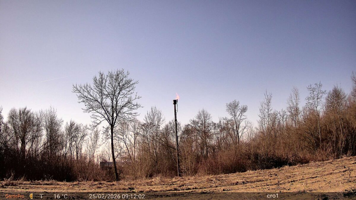 グリーンピースが設置した定点観測カメラが収めたメタンガスのフレアリング