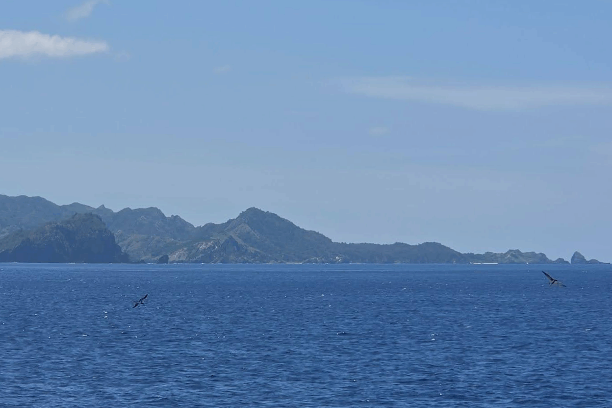 船から見れる小笠原諸島の背景　© Greenpeace 