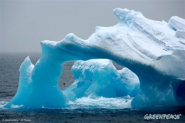 Weathered Iceberg in the Antarctic Ocean, 2008