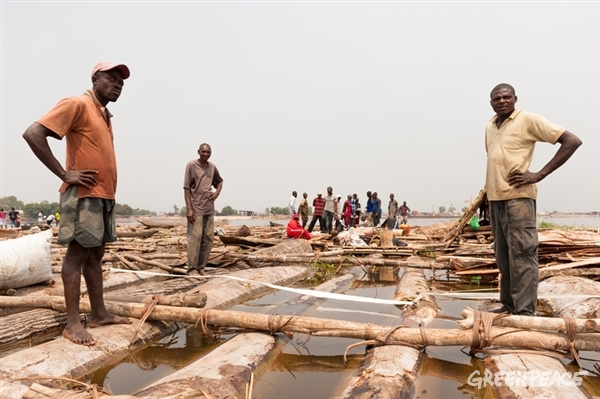 Illegal timber from DRC