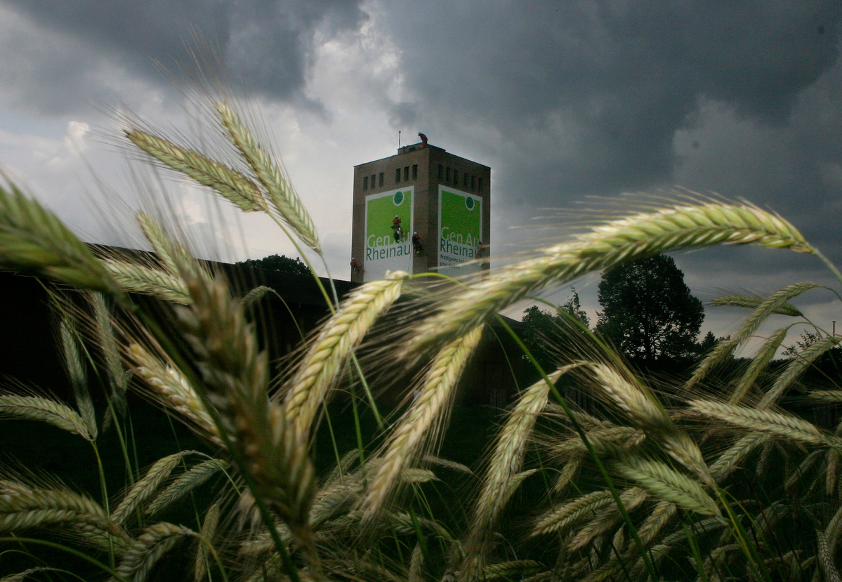 Presentation of GE-Free Crops Project Gen Au Rheinau. © David Adair