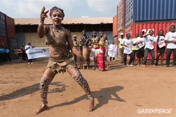 The Congo Basin forests made us dance