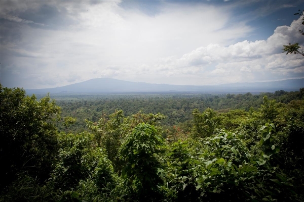 parc virunga congo