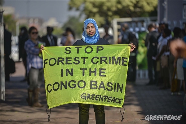 save the Congo Basin