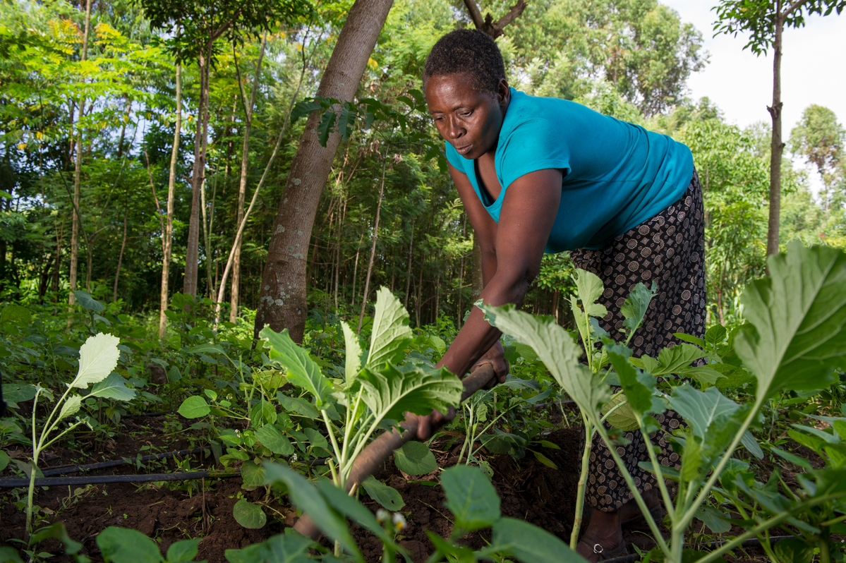 Ecological Farmer in Kenya. © Cheryl-Samantha Owen