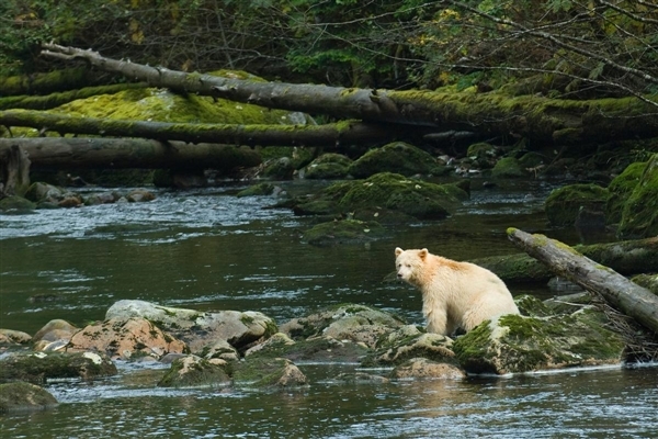 ours canada