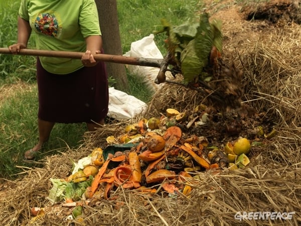 food waste into compost