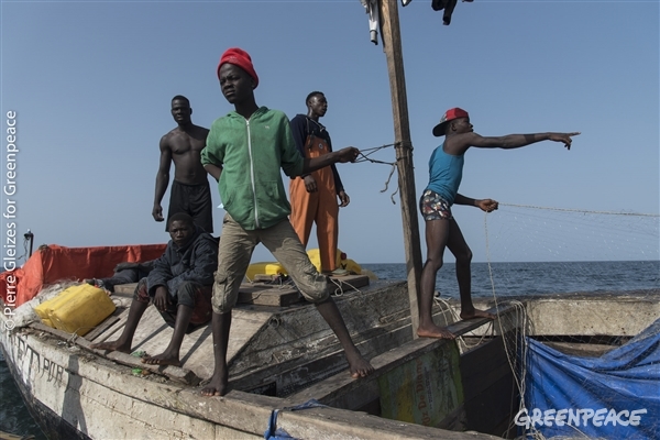 Fishing from the sky”, empty nets, dead fish and the plight of West African fisher folks - Greenpeace Africa