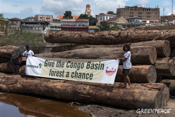 Banner "Give the Congo Basin forest a chance"