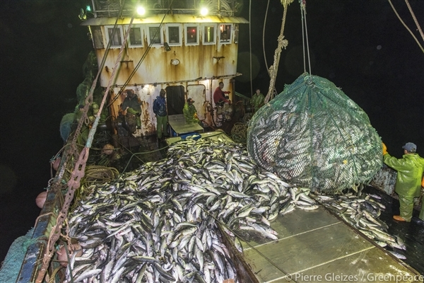 overfishing in west africa