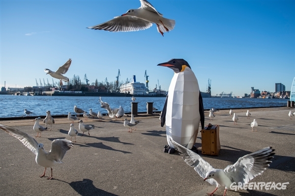 Spotted in Hamburg causing a flap amongst the local seagulls.
