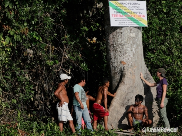 Purple shirt, Bunny helps Munduruku Indians in fixing a demarcation plate (© lunae Brill / Greenpeace)