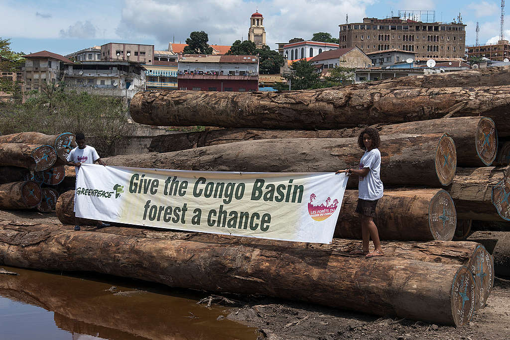'Give the Congo Basin Forest a Chance' banner in Matadi. © Pierre Gleizes