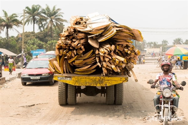 Illegal Timber in the DRC