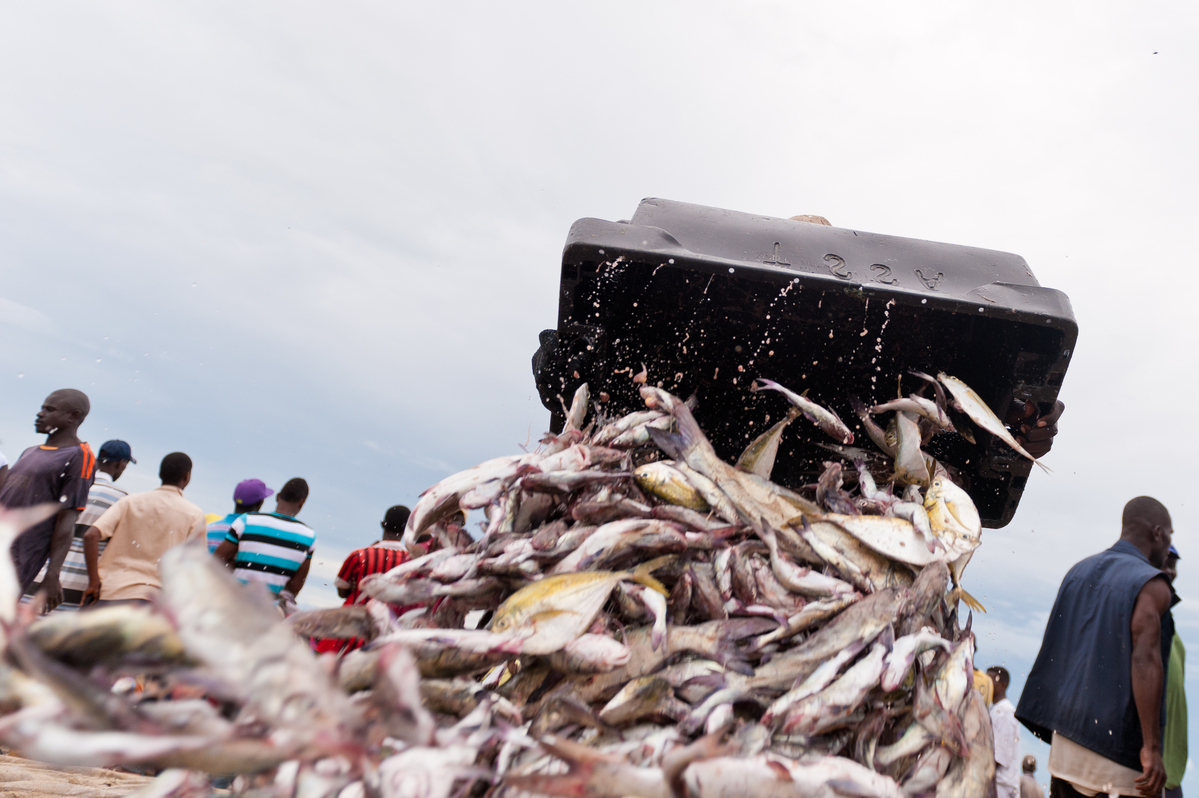 Artisanal Fishermen in Senegal. © Clément  Tardif