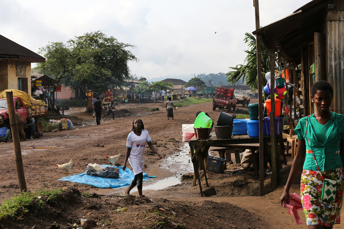Cameroun Greenpeace Africa