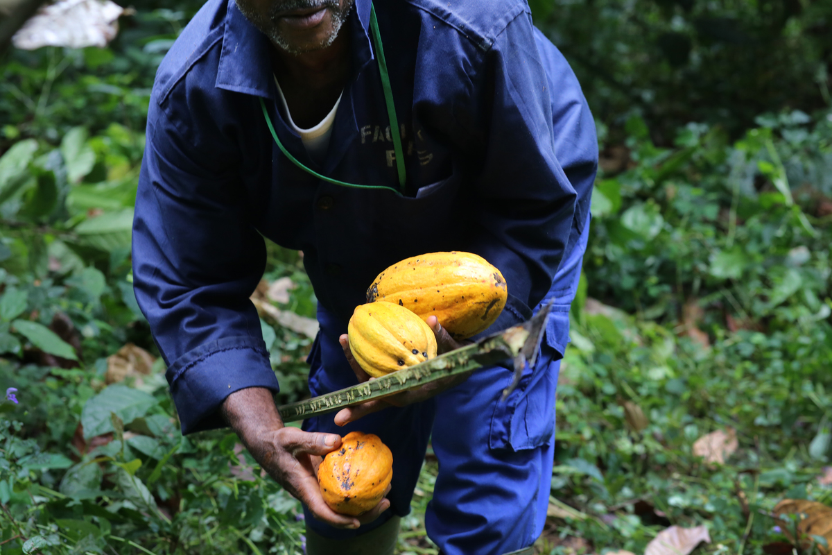 L’agriculture durable