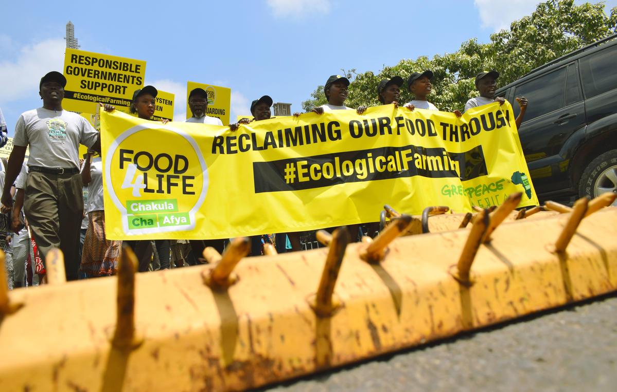 World Food Day 2018 in Kenya. © Paul Basweti