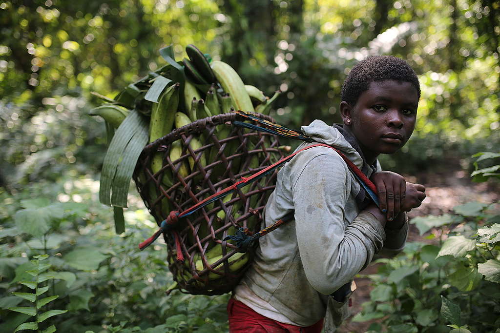 Local Girl in Cameroon. © John Novis