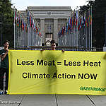 IPCC report reveals tough land-use choices needed to stem climate crisis