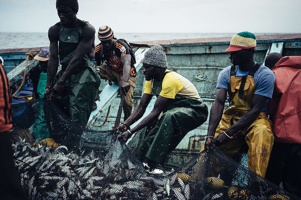 West African small-scale Local Fishermen in Senegal. © Liu Yuyang / Greenpeace West African small-scale Local Fishermen in Senegal. © Liu Yuyang / Greenpeace