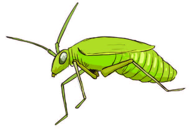 HOW TO GUIDE 3: Managing Weeds, Pest, & Diseases - Greenpeace Africa HOW TO GUIDE 3: Managing Weeds, Pest, & Diseases - Greenpeace Africa