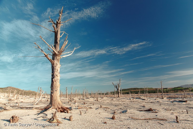 Taps have run dry across South Africa's largest city in an unprecedented  water crisis