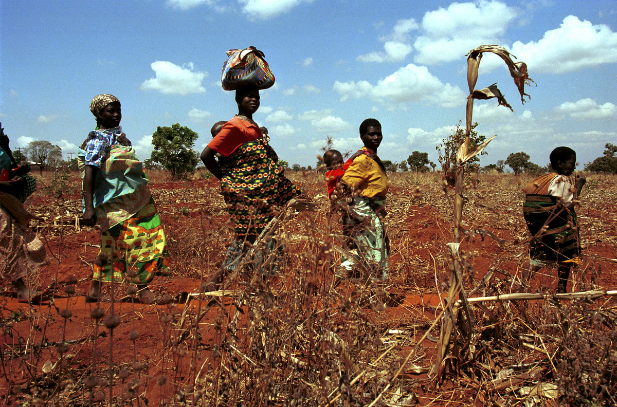 Malawi Famine Documentation. © Greenpeace / Clive Shirley