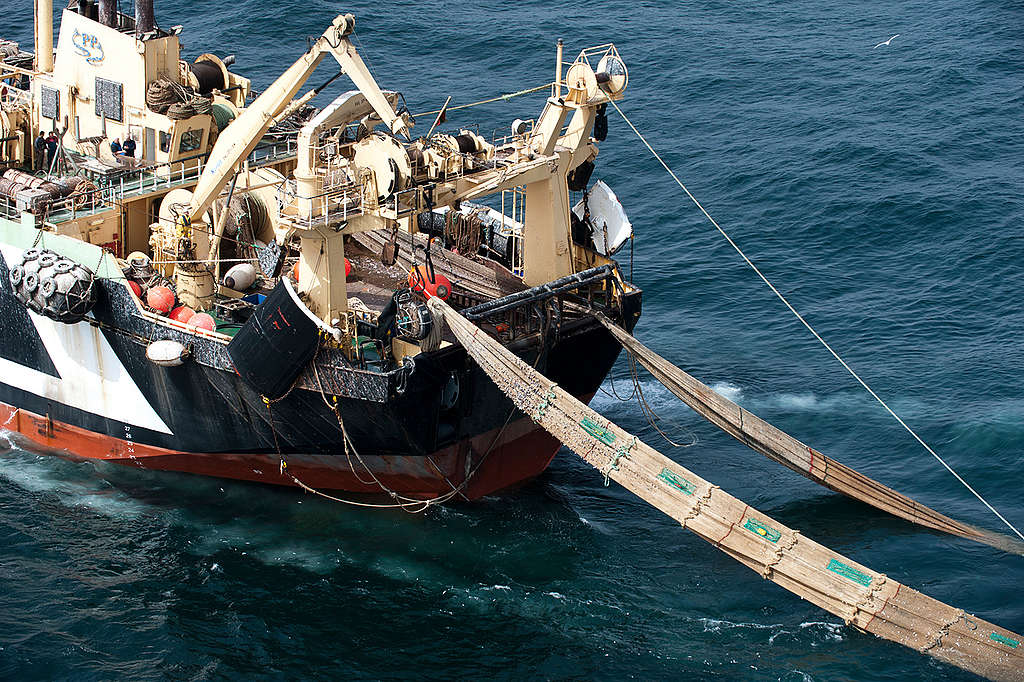 The Margiris KL749 Super Trawler near Mauritania. © Pierre Gleizes / Greenpeace The Margiris KL749 Super Trawler near Mauritania. © Pierre Gleizes / Greenpeace