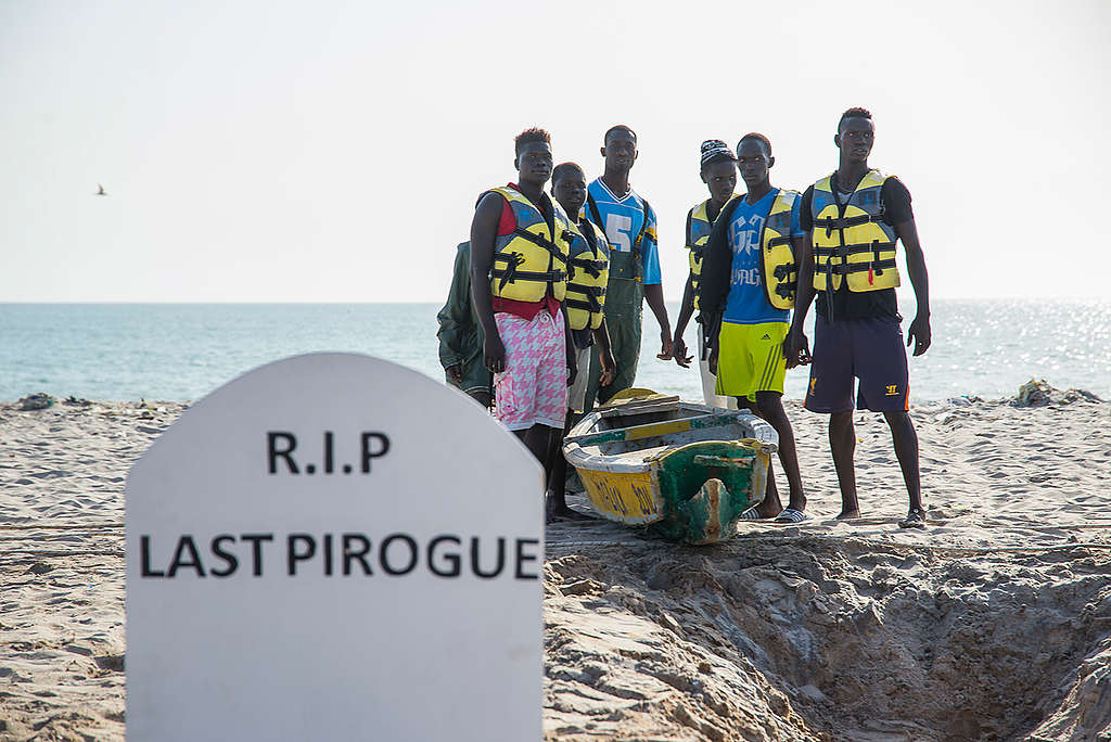 'Fish Fairly' Global Week of Action in Senegal. © Guillaume Bassinet / Greenpeace 'Fish Fairly' Global Week of Action in Senegal. © Guillaume Bassinet / Greenpeace