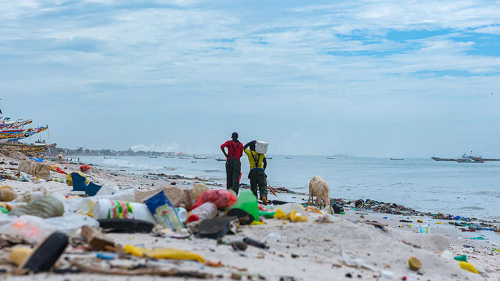 Plastics Clean up on Beach in Senegal. © Ibrahima Kebe Diallo / Greenpeace