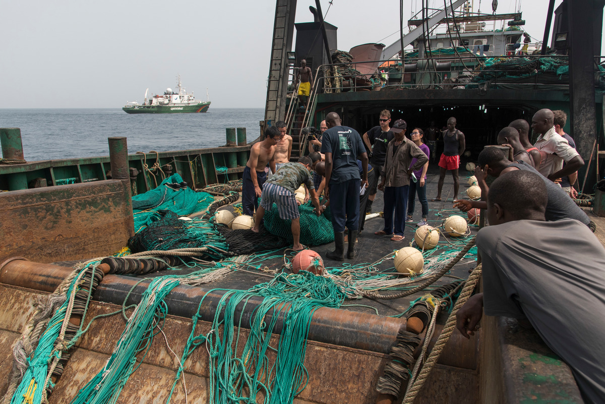 Inspection of Chinese Fishing Vessel in Sierra Leone. © Pierre Gleizes / Greenpeace