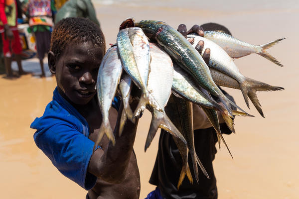 Senegal - Greenpeace Africa