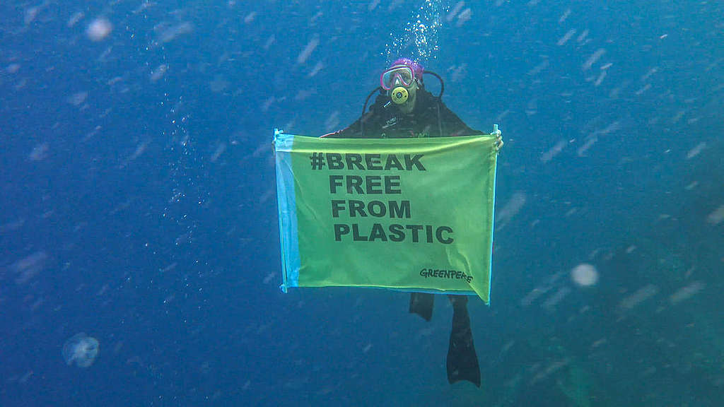 Underwater Plastic Brand Audit at Pulau Pramuka, Indonesia. © Tri Yuliantoro / Greenpeace Underwater Plastic Brand Audit at Pulau Pramuka, Indonesia. © Tri Yuliantoro / Greenpeace