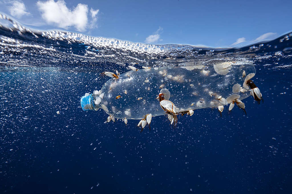 Plastic Floating in the Great Pacific Garbage Patch. © Justin Hofman / Greenpeace