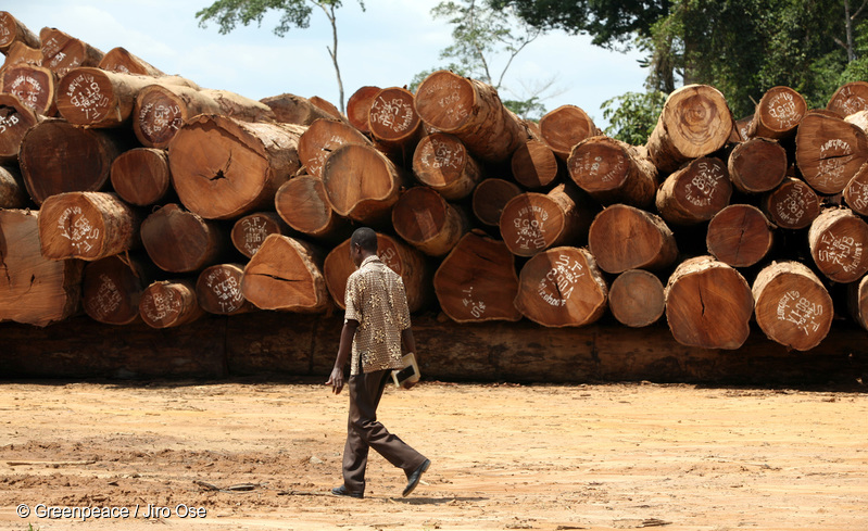 logging